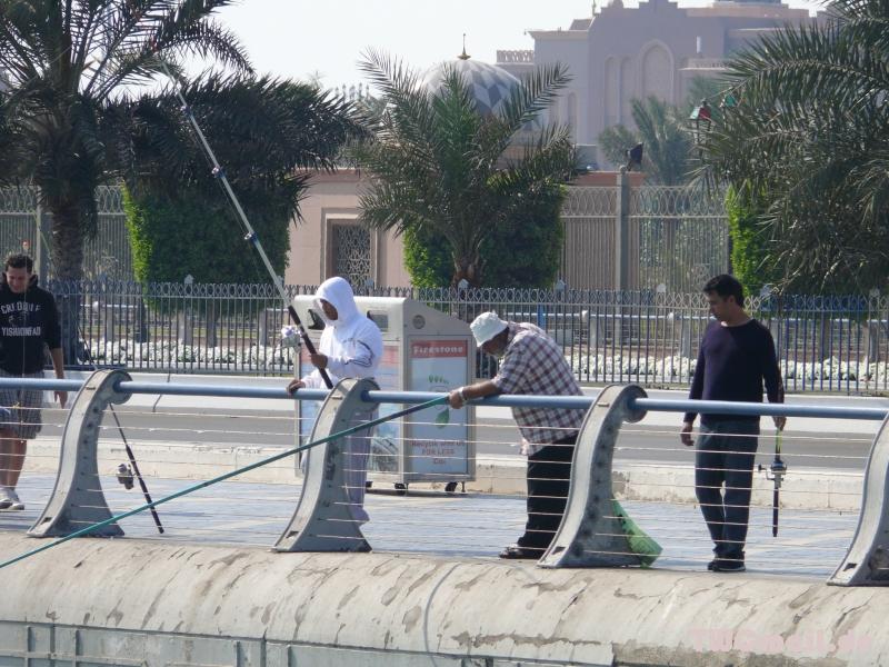 Abu Dhabi 111