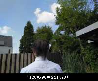 Pferdeschwanz / Ponytail 3