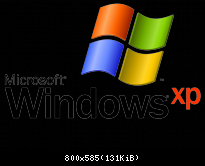 Windows XP Logo