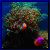 Hidden Numbers - Coral Reefs (1.52 MiB)