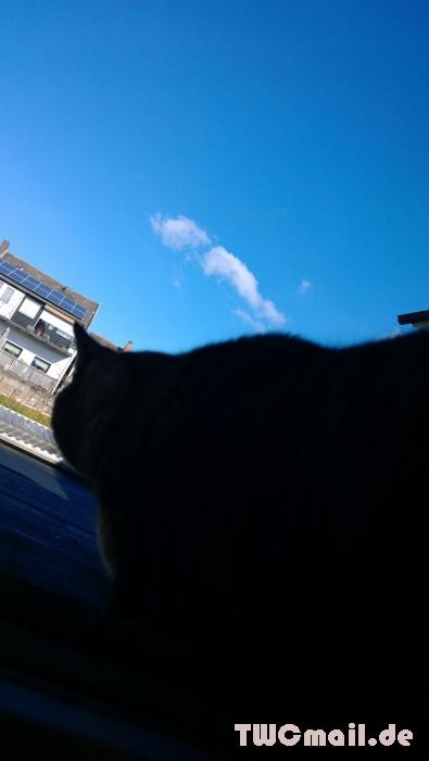 WP 20130927 11 34 59 Pro  highres