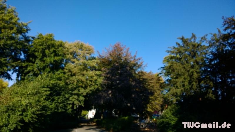 WP 20131001 09 38 04 Pro  highres