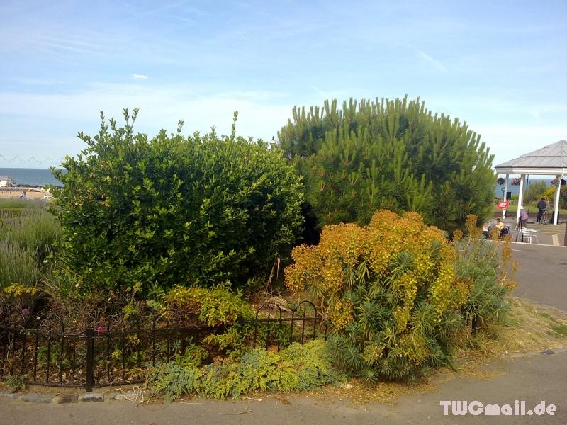 Landschaftsbild Broadstairs 42