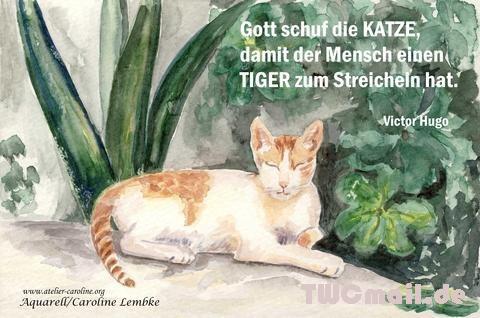 Katze-Tiger