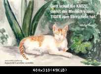 Katze-Tiger